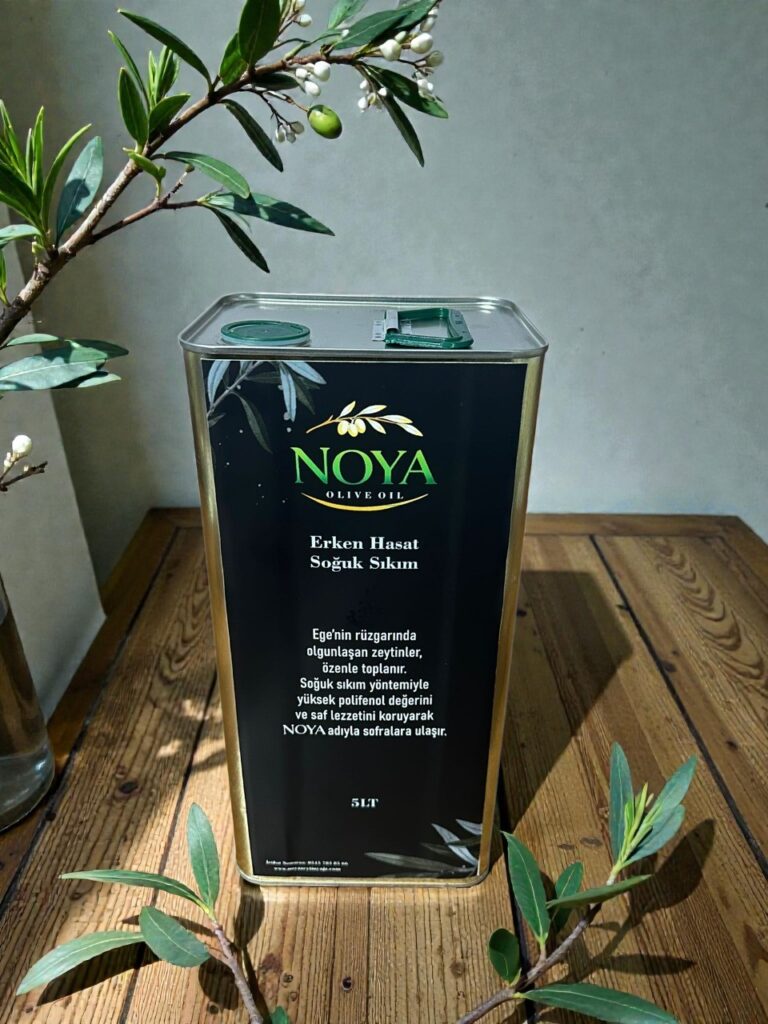 WhatsApp Image 2026-02-05 at 15.10.43 (1)